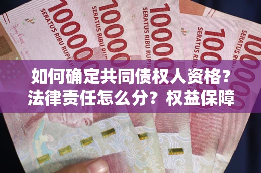 北京如何确定共同债权人资格？法律责任怎么分？权益保障技巧揭秘！