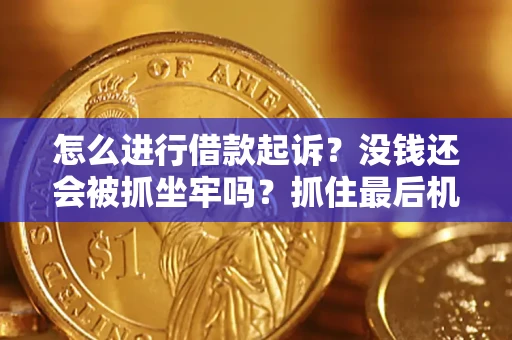 北京怎么进行借款起诉？没钱还会被抓坐牢吗？抓住最后机会！