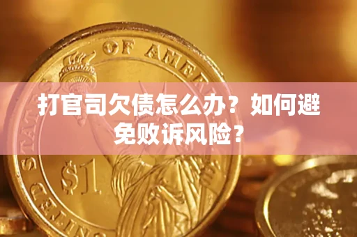 北京打官司欠债怎么办？如何避免败诉风险？