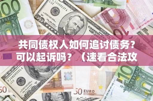 北京共同债权人如何追讨债务？可以起诉吗？（速看合法攻略）