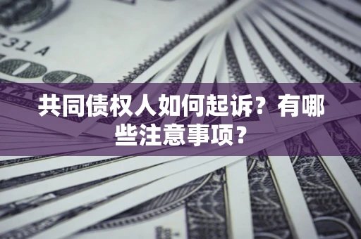 北京共同债权人如何起诉？有哪些注意事项？
